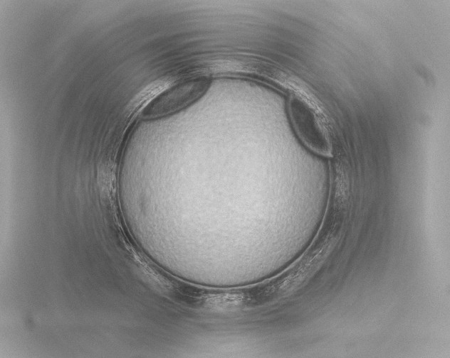 X0000115520793200912181505