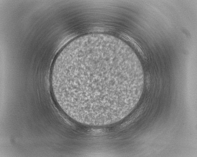 X0000115520794200912181505