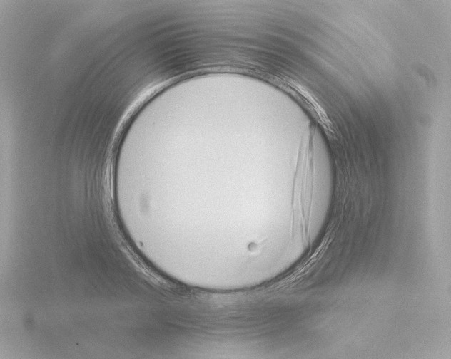 X0000115520796200912181505