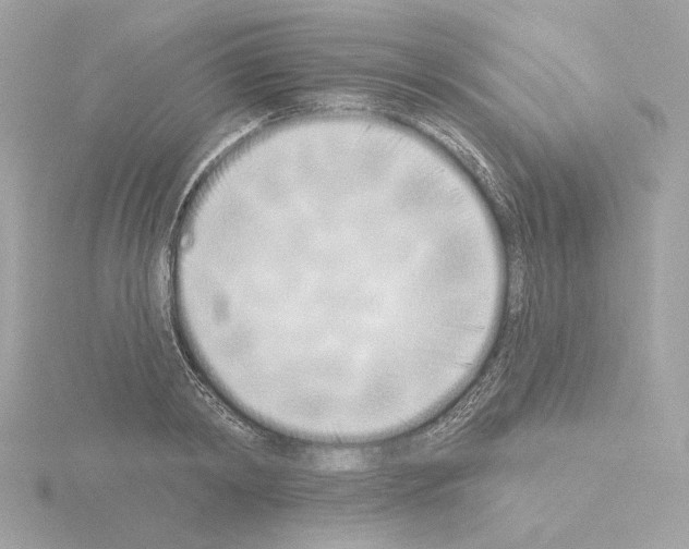 X0000115520798200912181505