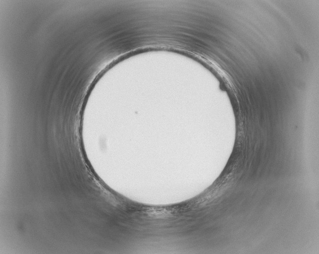 X0000115520799200912181505