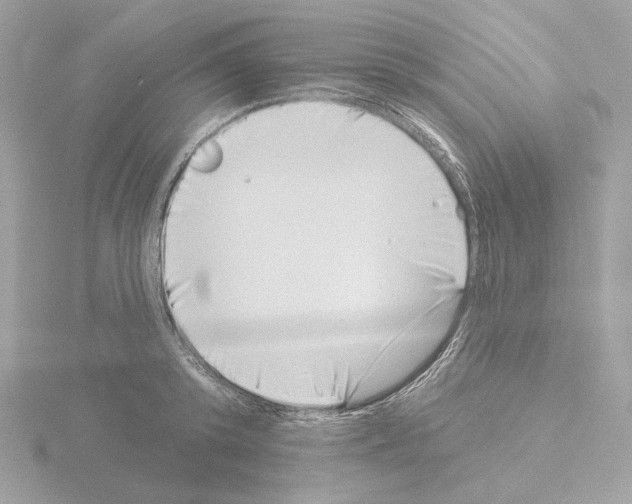 X0000115520800200912181505