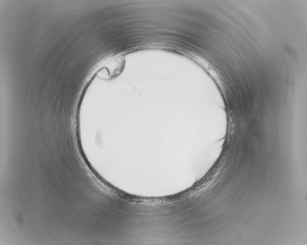 X0000115520803200912181505