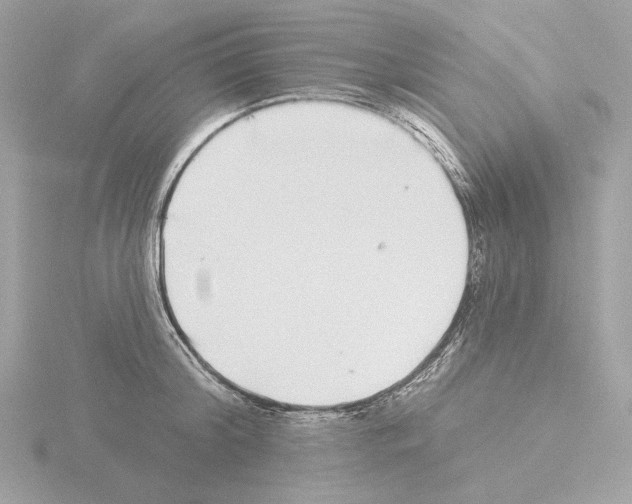 X0000115520804200912181505