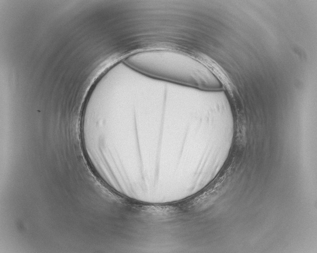 X0000115520805200912181505