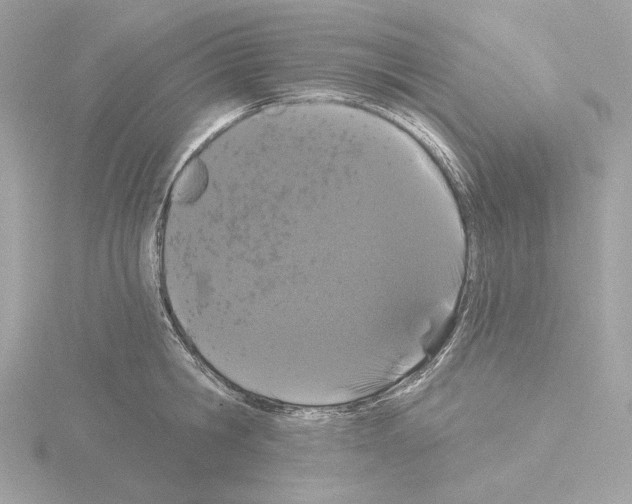 X0000115520806200912181505