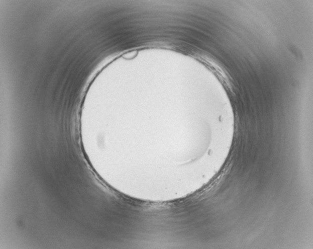 X0000115520808200912181505