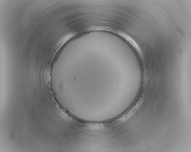 X0000115520809200912181505