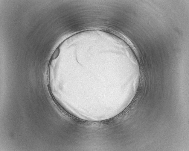 X0000115520811200912181505