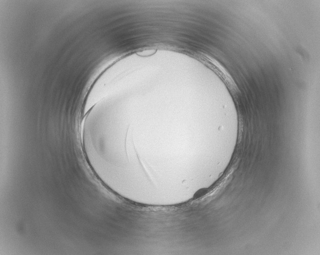 X0000115520812200912181505