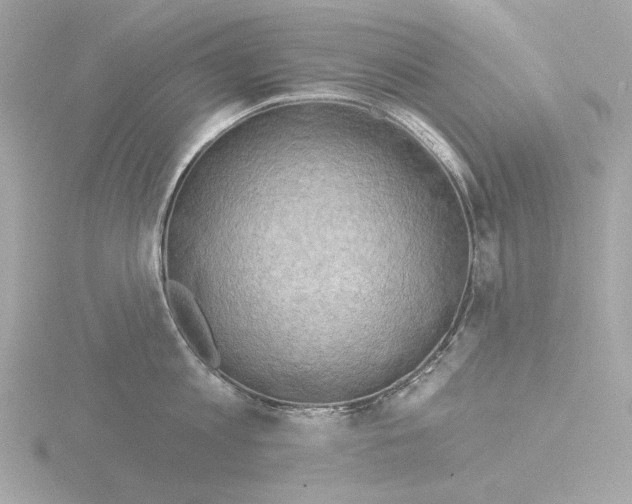 X0000115520813200912181505