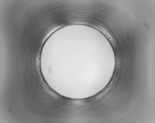 X0000115520814200912181505