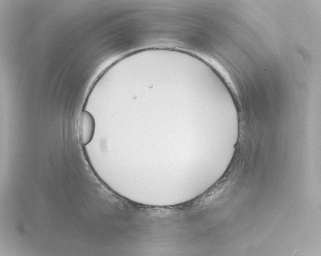 X0000115520815200912181505