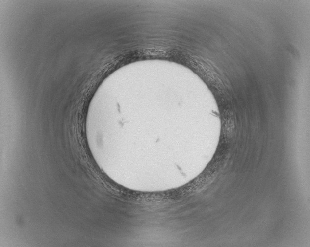 X0000115520817200912181504