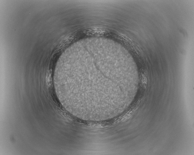 X0000115520818200912181504