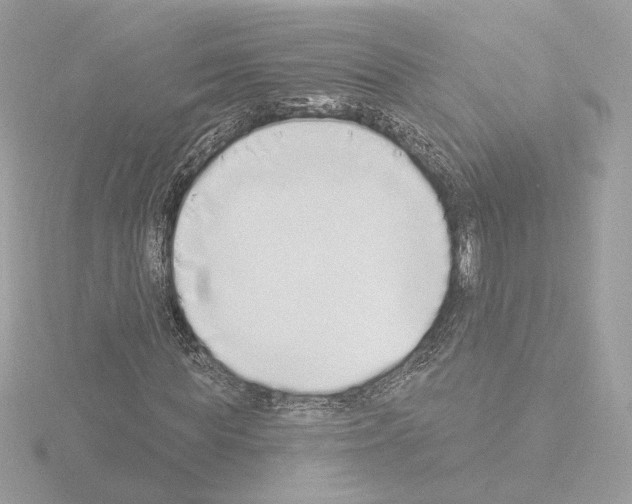 X0000115520819200912181504