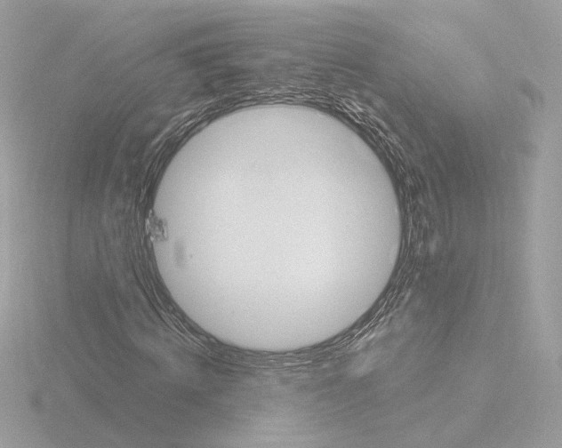 X0000115520820200912181504