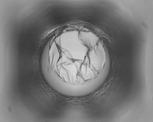 X0000115520822200912181504