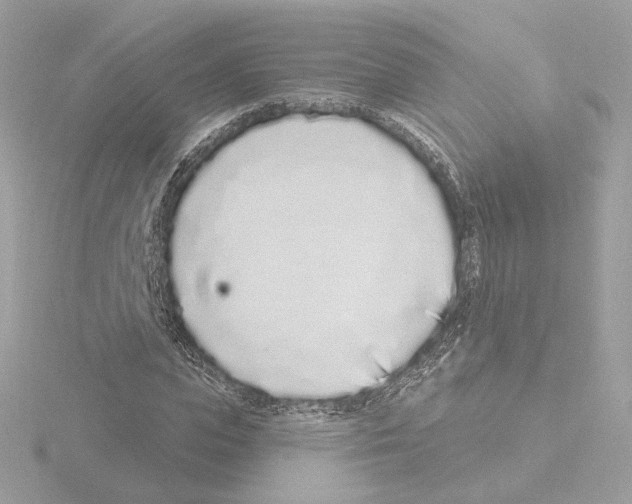 X0000115520823200912181505