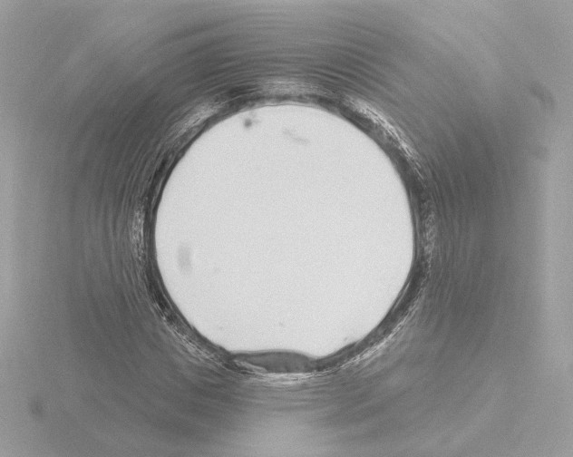 X0000115520825200912181505