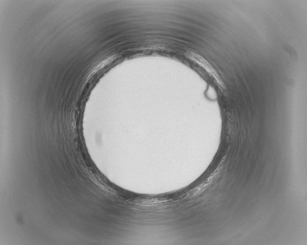 X0000115520826200912181505