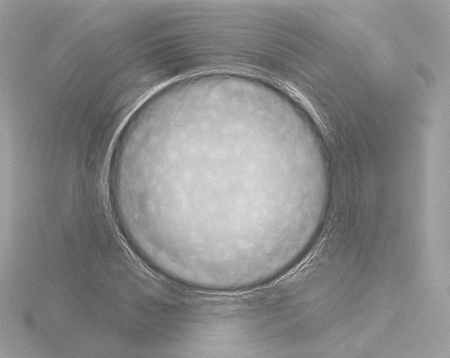 X0000115520828200912181505