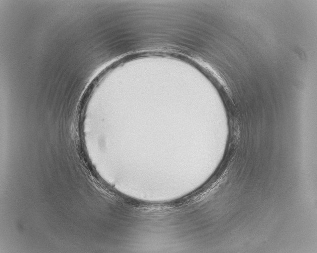 X0000115520830200912181505