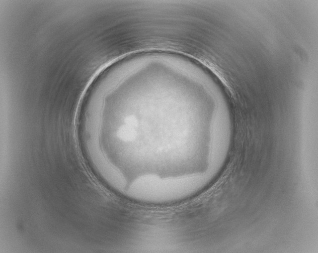 X0000115520832200912181505