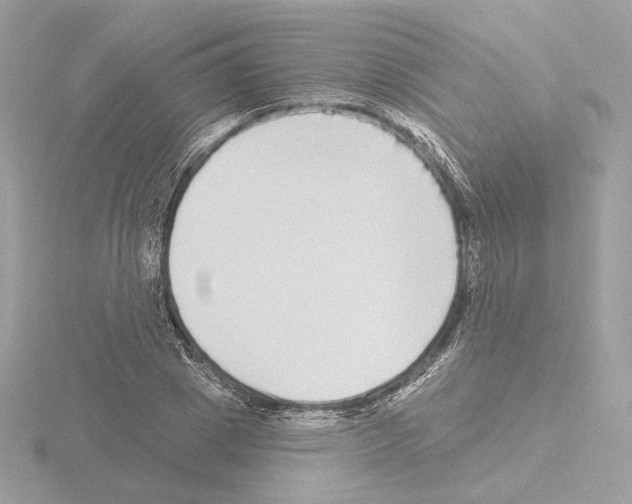 X0000115520833200912181505