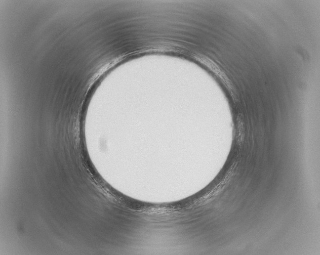 X0000115520834200912181505