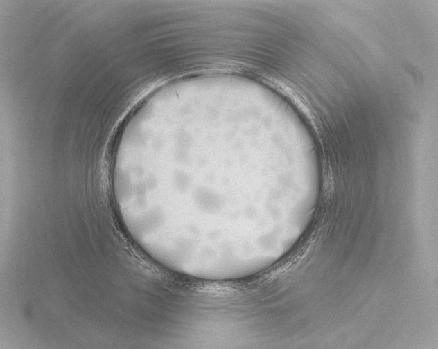 X0000115520835200912181505