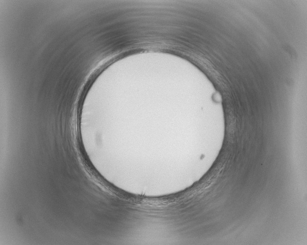 X0000115520840200912181505