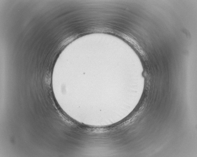 X0000115520841200912181505