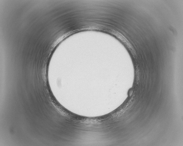 X0000115520842200912181505