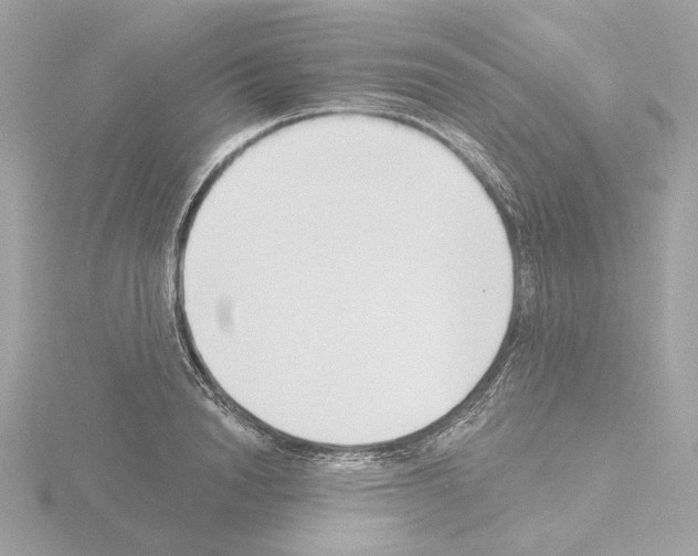 X0000115520846200912181505