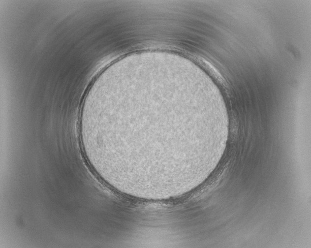 X0000115520847200912181505