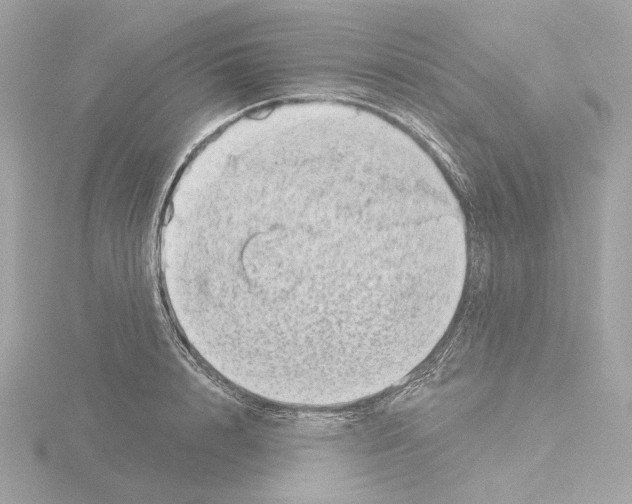 X0000115520848200912181505