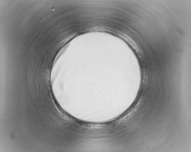 X0000115520849200912181505