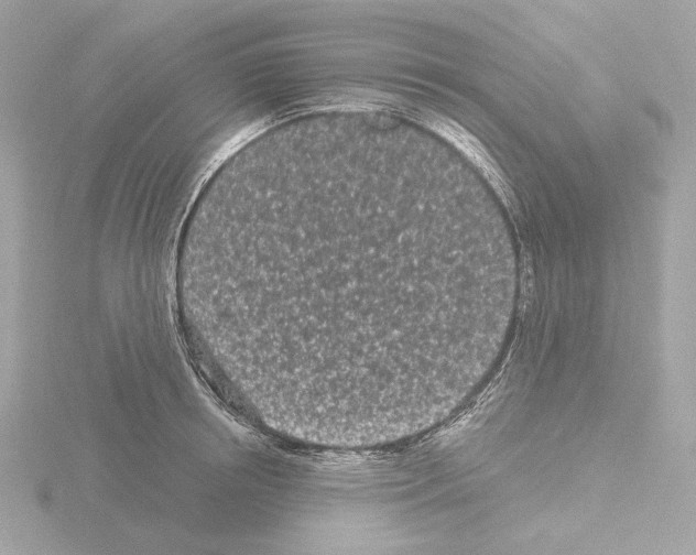 X0000115520850200912181505