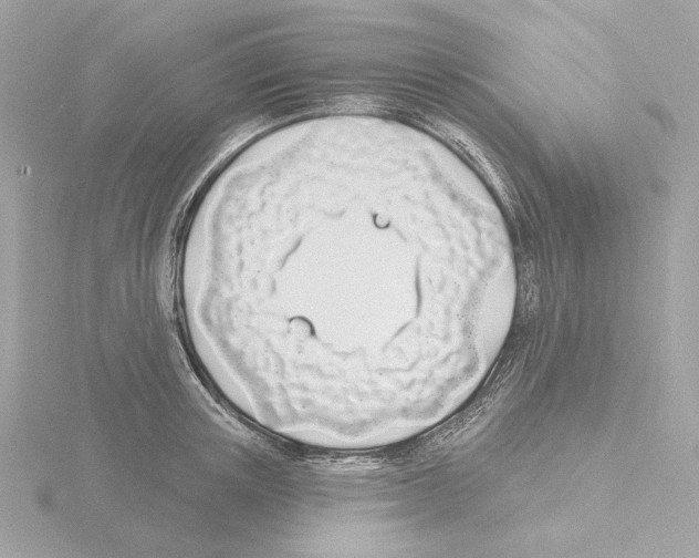 X0000115520851200912181505