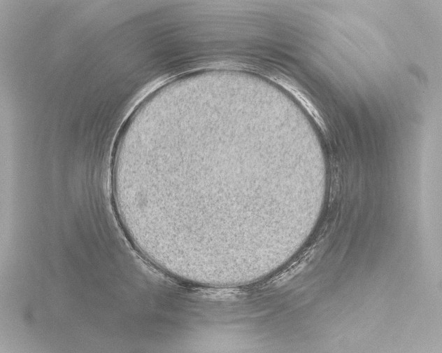 X0000115520853200912181505