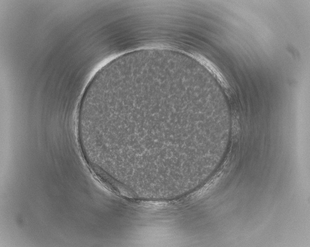 X0000115520854200912181505