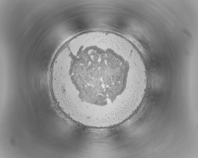 X0000115520856200912181505