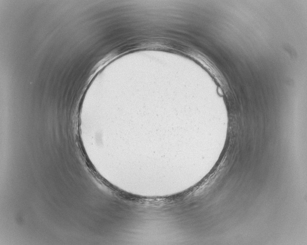 X0000115520858200912181505