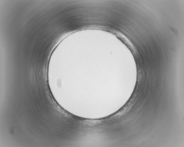 X0000115520860200912181505