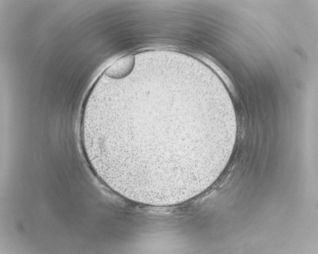 X0000115520861200912181505