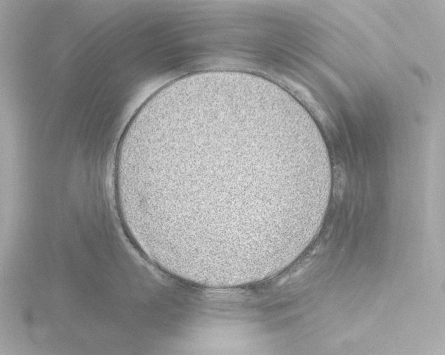 X0000115520863200912181505