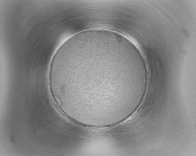 X0000115520864200912181505