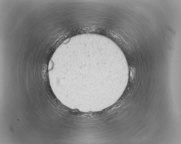 X0000115520867200912181504