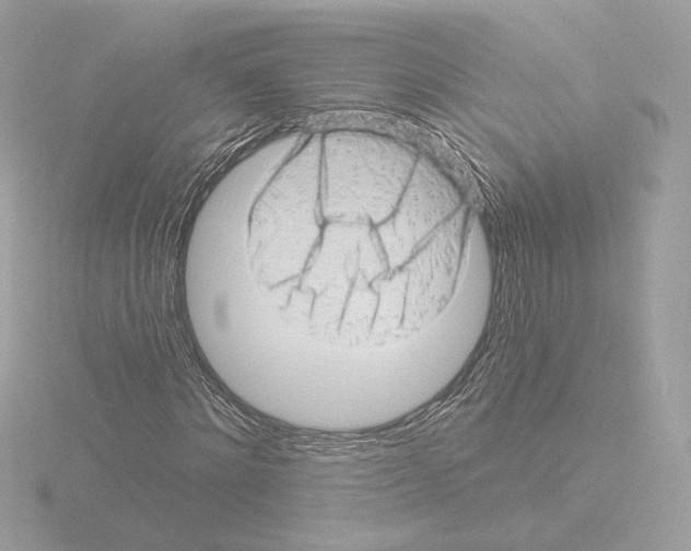 X0000115520868200912181504